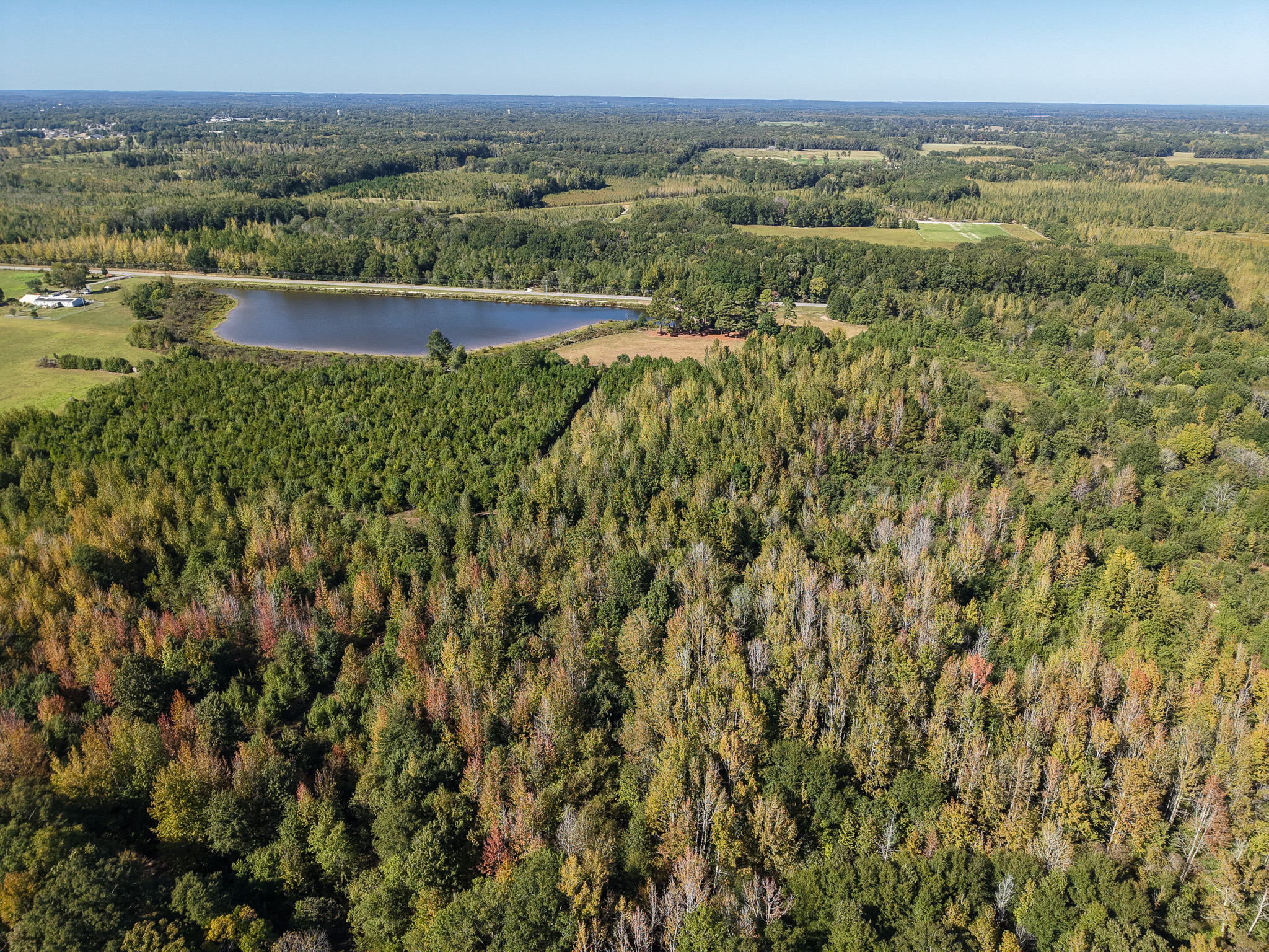 Aerial view of a pond next to a road, surrounded by a dense forest showing early autumn foliage.