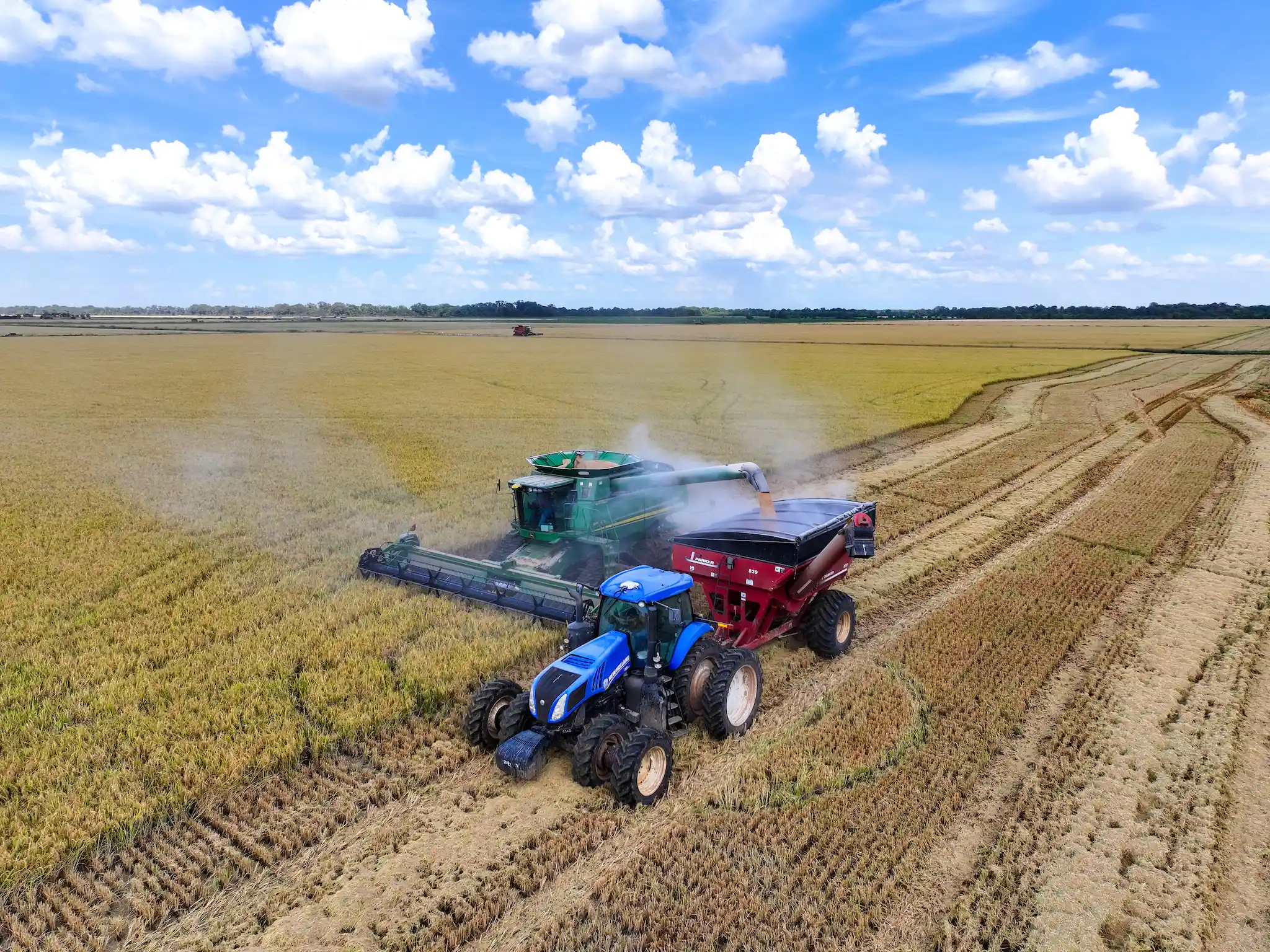 A blue tractor and a green combine harvester work together in a vast, golden field under a blue sky with scattered clouds, transferring harvested crops from the combine to the tractor’s trailer.