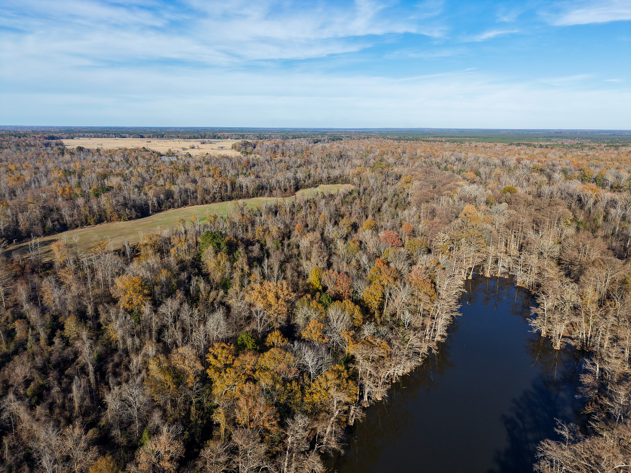 Aerial view of a dense forest with autumn-colored trees, a winding river or pond, and open fields under a blue sky with scattered clouds.