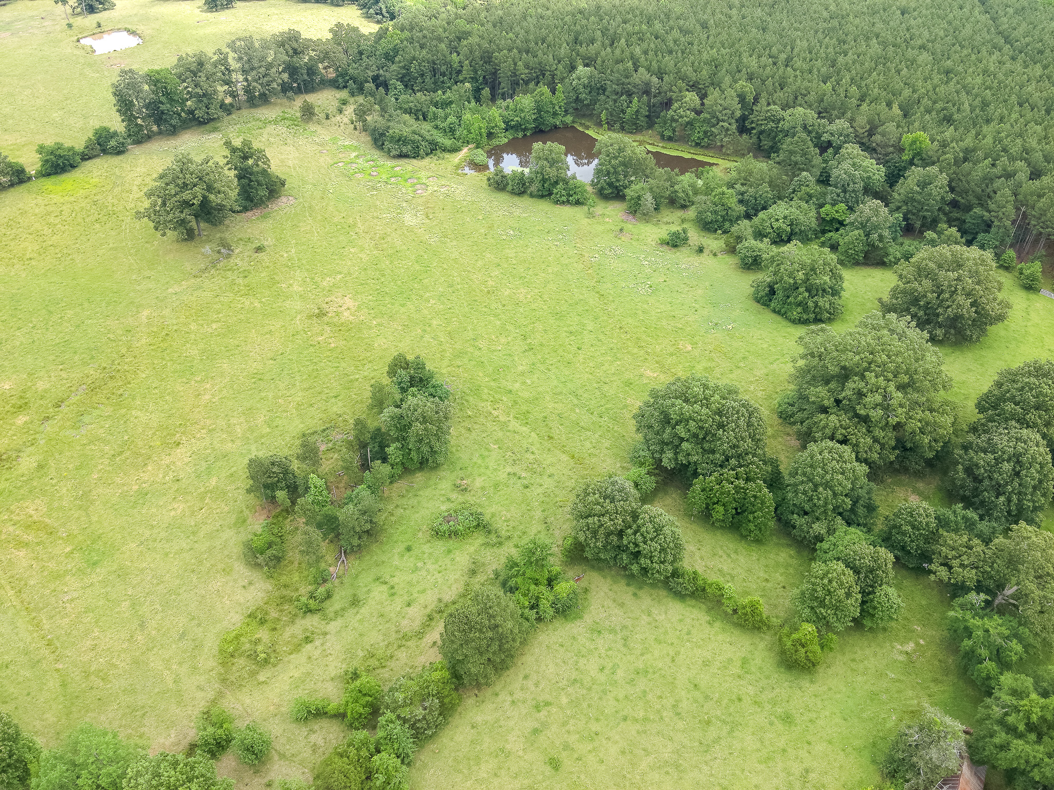 Aerial view of a green rural landscape with open grassy fields, scattered trees, dense forest, and a small pond near the center surrounded by trees.