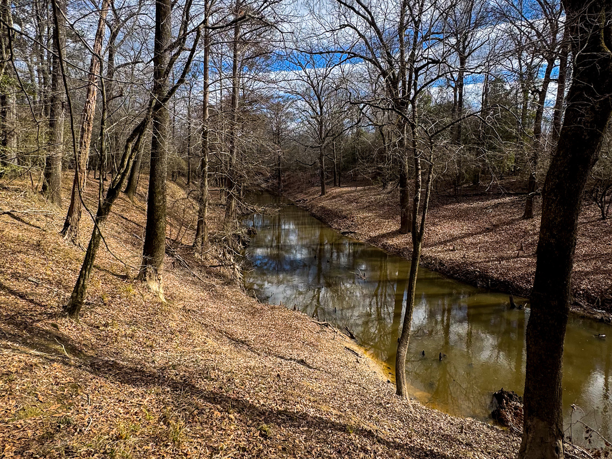 A narrow, winding creek flows through a forest of leafless trees on a sunny day, with brown leaves covering the ground and blue sky reflecting in the water.