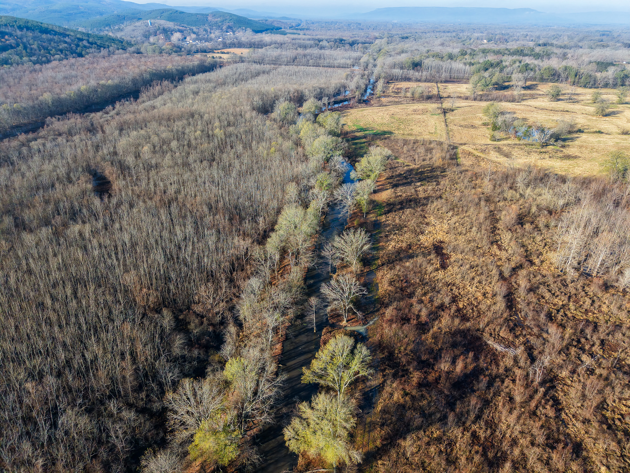 Aerial view of a winding river bordered by leafless trees, separating a dense forest on the left from open, grassy fields on the right, with distant rolling hills under a clear sky.