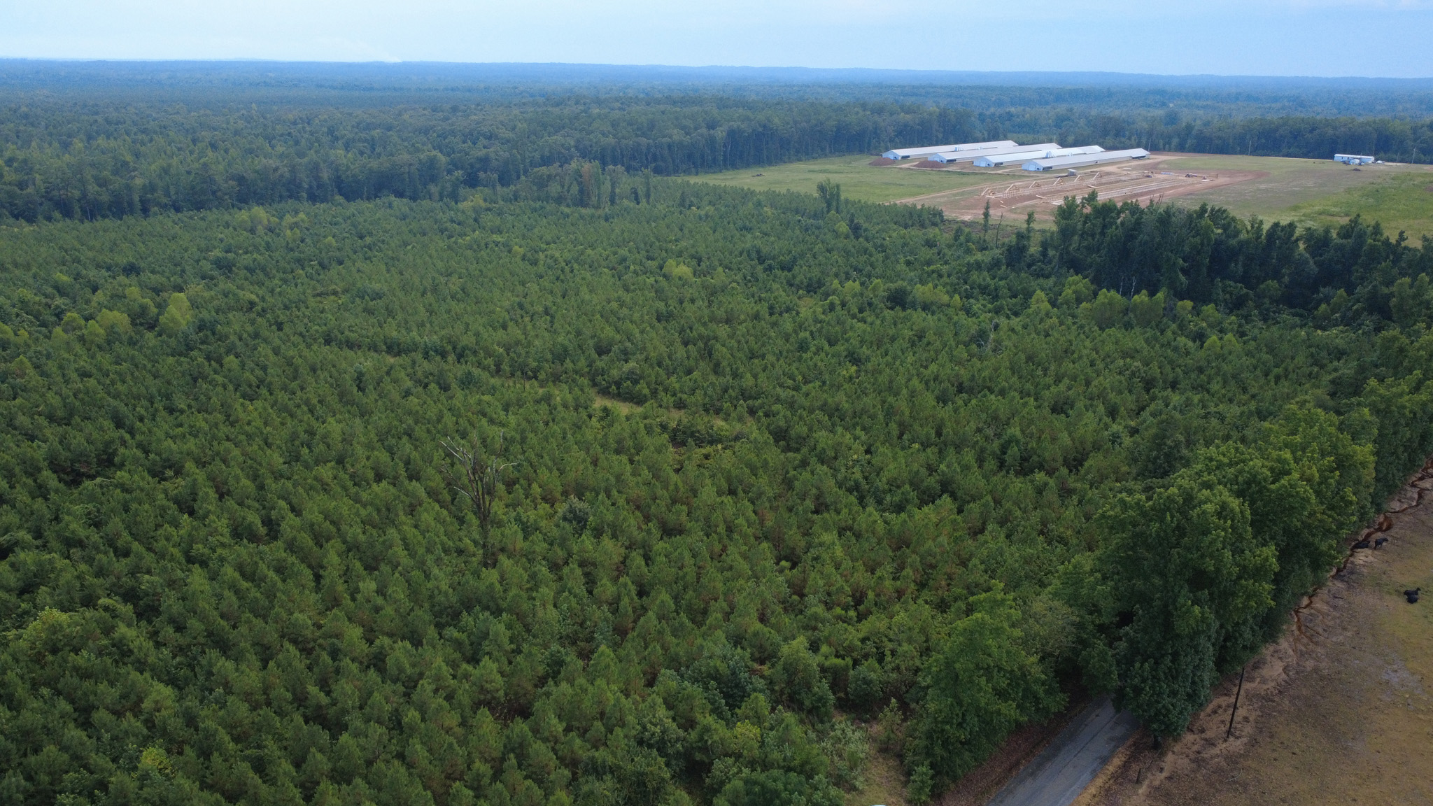 Aerial view of a dense forest with a small road and a large white industrial building complex in the background, surrounded by open land and distant trees under a cloudy sky.