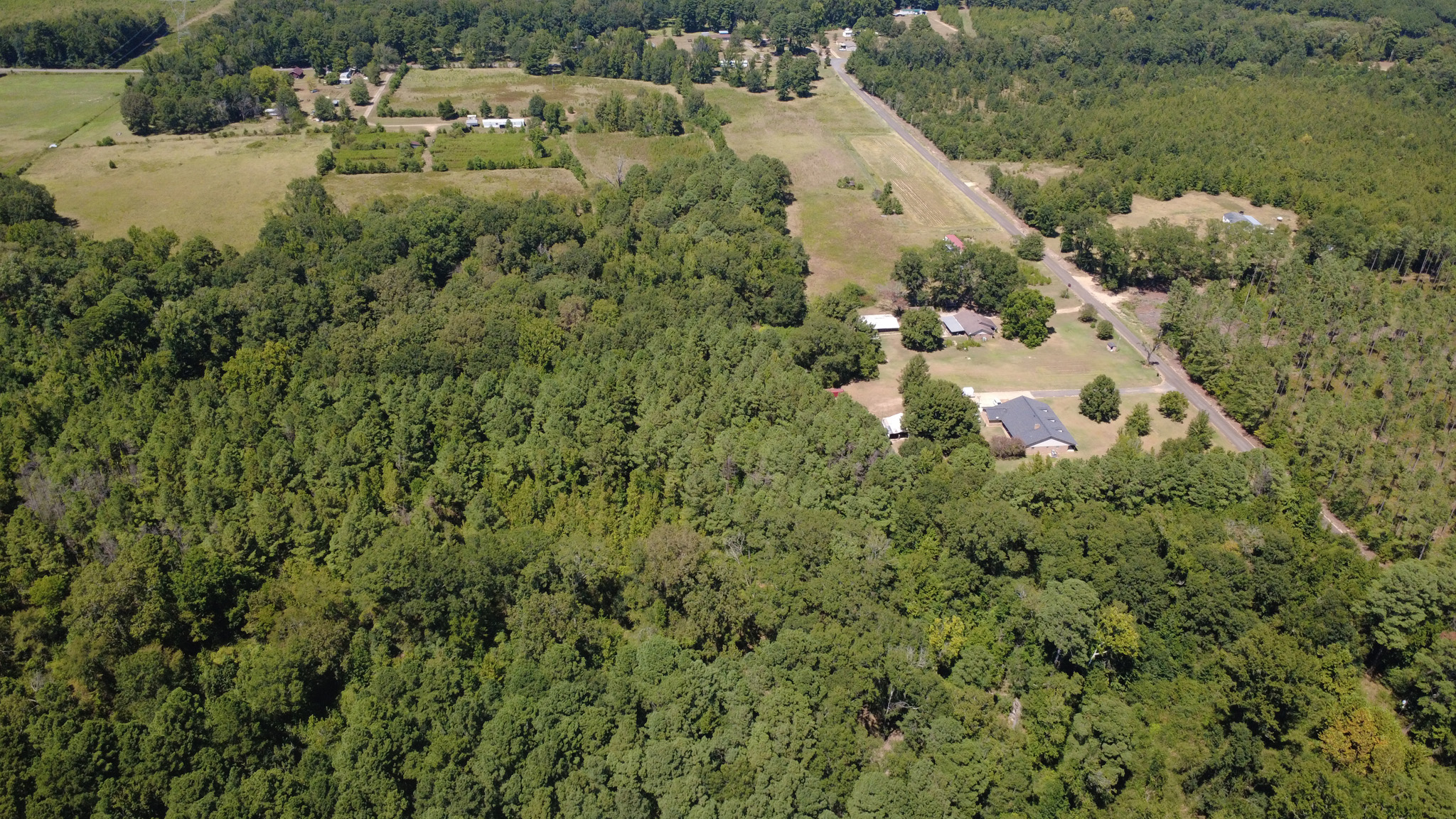 Aerial view of a rural area with dense green forest, scattered houses, open fields, and a paved road running through the landscape. Trees dominate most of the scene, with clearings for buildings and farmland.