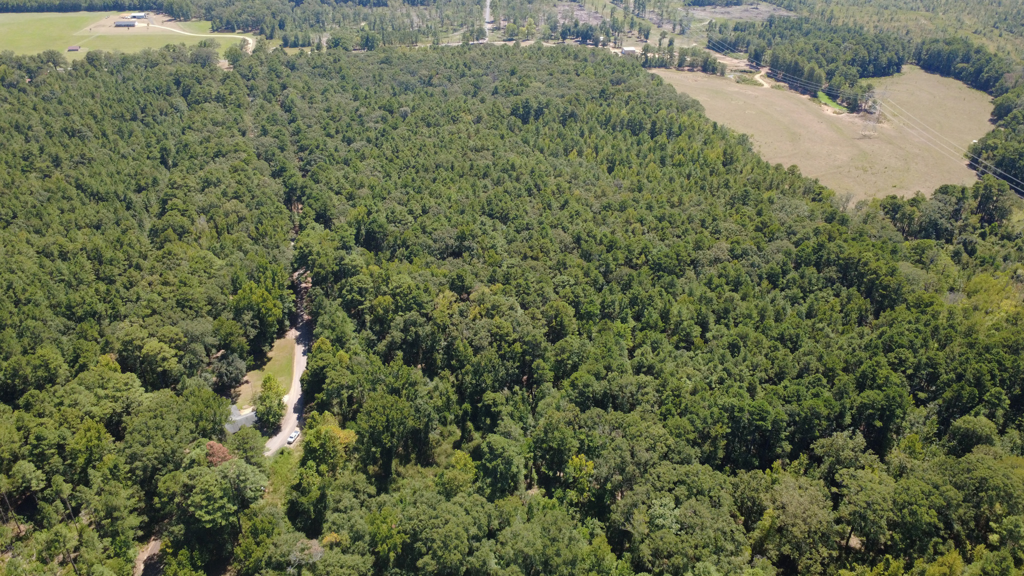 Aerial view of a dense, green forest with a small road winding through it. Open grassy fields and some scattered buildings are visible in the background.