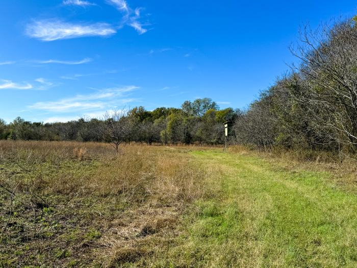 Yes ,Timber,For Sale,1253