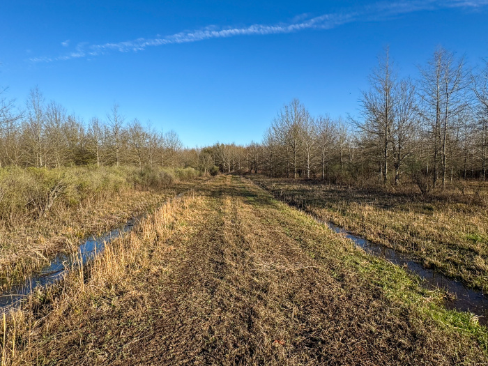 Yes ,Timber,For Sale,1273